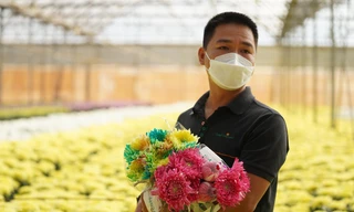 Vùng trồng hoa lớn nhất nước hối hả chạy Tết Nhâm Dần 2022