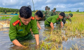 Hình ảnh chiến sĩ ngâm mình trong nước giúp dân cứu lúa 