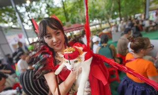 Xem 'ly miêu hóa phượng', chó diễn thời trang