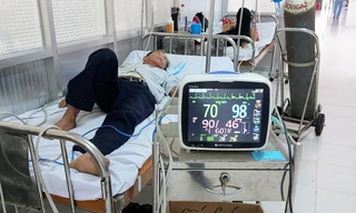 Vô tình chạm trúng tổ, đàn ong bay ra vây kín đầu, đốt hơn 20 mũi