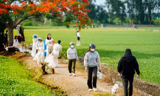 Cận cảnh 'cây phượng cô đơn' gây sốt cộng đồng mạng ở TPHCM 