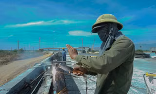 Tận thấy cao tốc 11.000 tỷ Phan Thiết - Vĩnh Hảo trước ngày thông xe