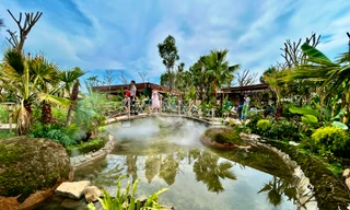 Khách đi cà phê choáng ngợp vì như bị lạc giữa rừng nguyên sinh 