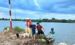 Cảnh sát giao thông cứu người phụ nữ nhảy cầu Bến Lức