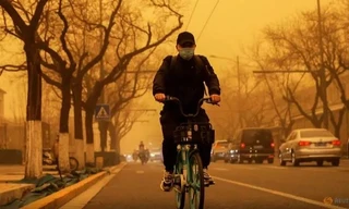 Một người dân Bắc Kinh trong điều kiện trời mù mịt cát. (Ảnh: Reuters)