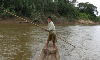 Người Tsimane dành cả ngày để đi săn, đánh bắt cá và hái lượm. (Ảnh: Daily Mail) 