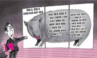 Kiện đòi heo rừng sổng chuồng