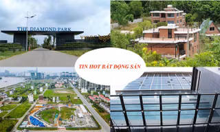 Đấu giá cao ốc xây thời Trịnh Xuân Thanh, TPHCM 'trảm' 180 dự án treo