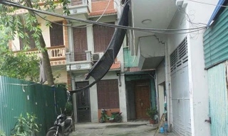 Chưa có cơ sở xem xét tiếp vụ cao ốc ‘mượn’ nhà dân nâng 15 tầng