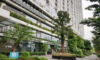 Cần có người 'cầm trịch' để phát triển đô thị xanh