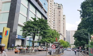 Bộ Tư pháp vừa "tuýt còi" việc Bộ Xây dựng "bật đèn xanh" cho việc thành lập Ban quản trị Hapulico bằng cách lấy phiếu ý kiến chủ sở hữu căn hộ mà không tổ chức hội nghị nhà chung cư.