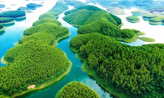 Dự án bất động sản nghỉ dưỡng nghìn tỷ của Hoa Sen nằm tại khu vực đầm Vân Hội (Yên Bái) đã phải giải thể và dừng hoạt động.