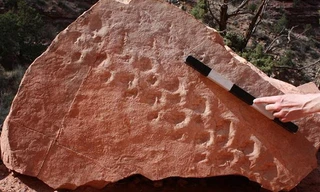 Hoá thạch có dấu chân loài sinh vật kì lạ có niên đại 310 triệu năm tuổi mới được phát hiện tại Mỹ.