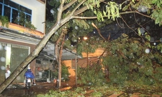 Bão Nari tấn công Đà Nẵng, sóng vò gió giật liên tục