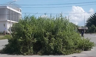 Đường vào Khu Di tích lịch sử Căn cứ Vườn Mận.