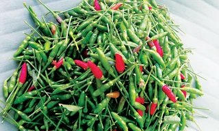 Ớt ARiêu được phát hiện trên những vùng núi đá vôi xã Mà Cooih