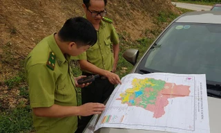 Sau khi Tiền Phong phản ánh, phía hạt kiểm lâm Ðông Triều dùng máy định vị để xác định lại diện tích rừng phòng hộ bị tàn phá.