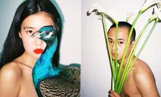 Hai tác phẩm của Nhiệm Hàng