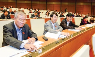 Các đại biểu Quốc hội biểu quyết thông qua BLHS năm 2015 với 84% tán thành. Ảnh: Như Ý