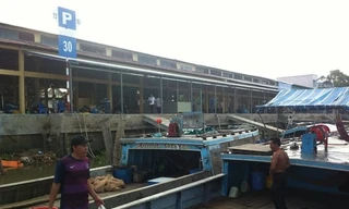 Tàu thuyền cập bến chợ đầu mối thủy hải sản của Cty Châu Việt Long