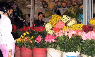 Hoa hồng Đà Lạt chủ yếu tiêu thụ nội địa.