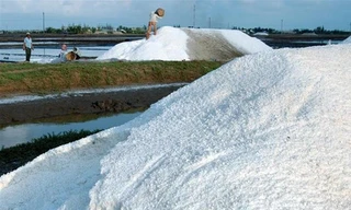 Muối đầy ruộng ở Đông Hải, Bạc Liêu. Ảnh: Gia Thọ