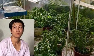 Đỗ Xuân Hiếu (29 tuổi), trú tại phường Hùng Vương, quận Hồng Bàng, TP Hải Phòng vừa bị công an bắt giữ vì truyền đạo trái phép và trồng cần sa.