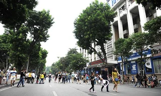 Lao xao 'danh vọng'