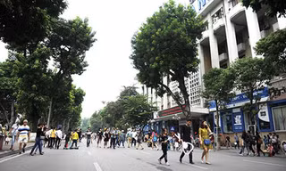 Lao xao 'danh vọng'