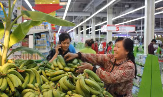 Rau dớn, ớt xiêm rừng Sơn Hà được bày bán ở siêu thị Big C Đà Nẵng.