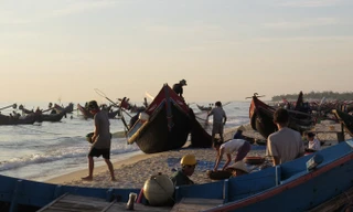 Bến cá của Ngư Thủy Nam vẫn tấp nập trong những ngày đông giá.