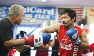 Pacquiao tái xuất vào tháng 6 tới.