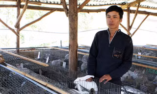Anh Nguyễn Văn Dũng giàu kinh nghiệm nuôi thỏ.