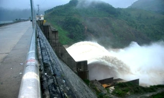 Vì sao thủy điện Đăk Mi bị phạt hơn 800 triệu đồng?