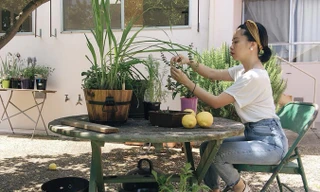 Chủ blog “Góc Dani” tự làm vườn và thích mua đồ ở chợ đồ cũ.