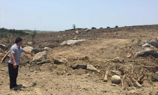 Vị trí gốc cây đa siêu khủng được khai thác tại rẫy nhà ông Thướng.