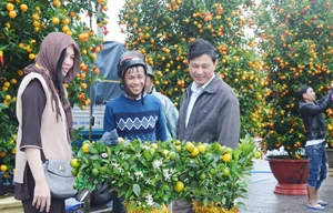 Người dân và du khách đến với Hội quất Cẩm Hà (Hội An). Ảnh: Trần Loan.