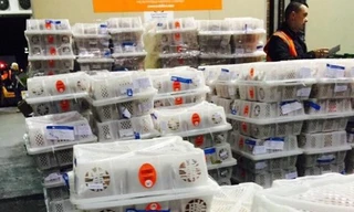 Những lô hàng vải thiều của Việt Nam đã có mặt tại Australia. Ảnh: moit.gov.vn