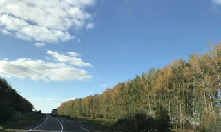 Nước Nga - miền đất bạch dương. Ảnh: Lê Xuân Sơn.