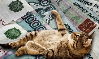 Mèo nhận lương 400 nghìn rúp/năm