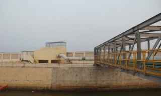 Nước thải Formosa: Nếu không xử lý, mỗi ngày có 1 tấn phenol xả ra biển