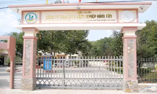 Dù đã xóa sổ Công ty Lâm nghiệp Hàm Tân trở thành Xí nghiệp Hàm Tân nhưng biển hiệu đến nay vẫn còn tồn tại.