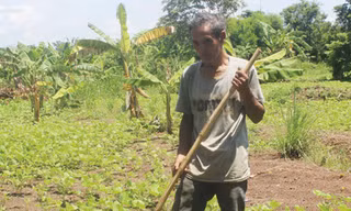 Cuộc sống cơ hàn của Điểu Klung.