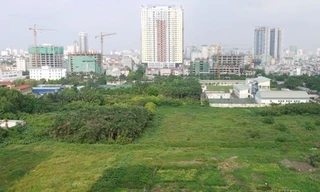 Sử dụng 200 m2 đất tại Hà Nội, TPHCM phải nộp 100 triệu/năm