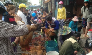 Gia cầm được bày bán tràn lan ở các chợ tự phát.