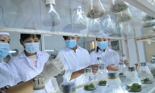 Sinh viên nghiên cứu trong phòng thí nghiệm. Ảnh: Hồng Vĩnh