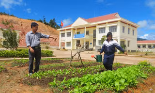 Thầy trò vùng cao cùng trồng rau cải thiện bữa ăn