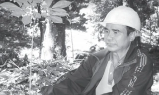 Quảng Nam là một trong hai tỉnh sở hữu loại sâm quý Ngọc Linh, tuy nhiên sản phẩm làm từ sâm còn rất nghèo nàn. Ảnh: T.T