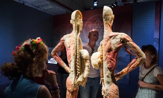 Triển lãm xác người: Hữu ích hay ghê rợn?