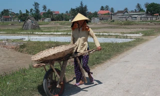 Diêm dân lao lực trên đồng muối dưới nắng nóng khốc liệt. Ảnh: Cảnh Huệ
